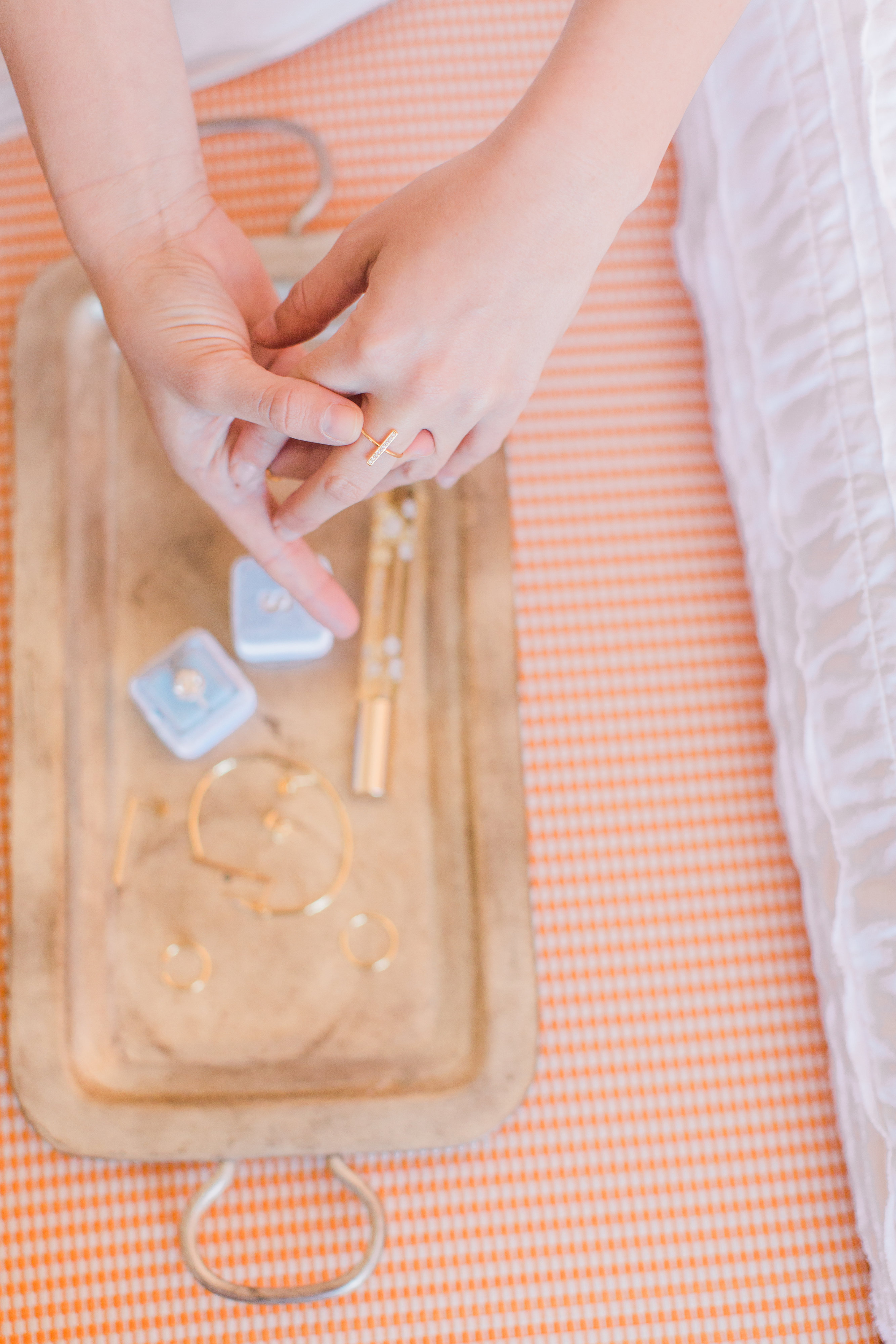 View More: http://elysehall.pass.us/bronskasmpprojects